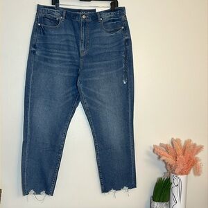 American Eagle High Rise Mom Light Blue Denim Jeans 18